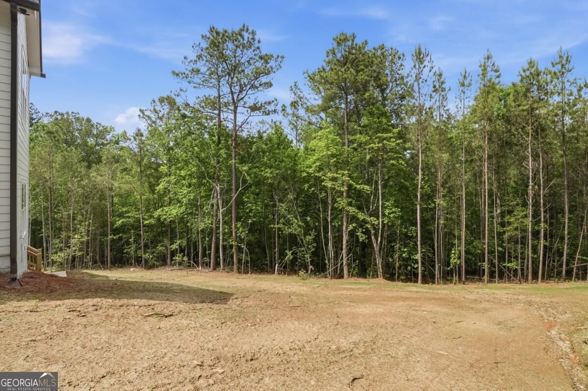 170 Fieldstone Circle Jasper - Photo 58
