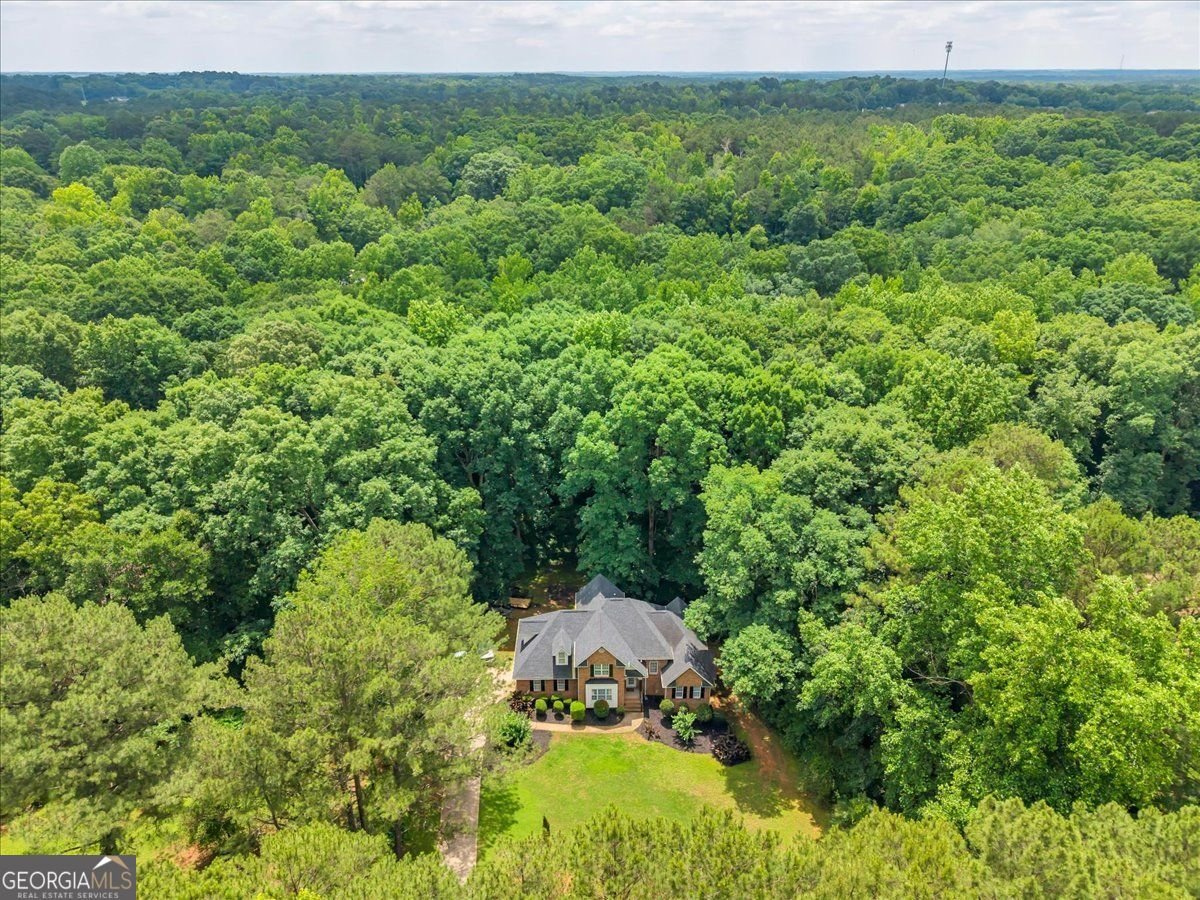 75 Paradise Court McDonough - Photo 9