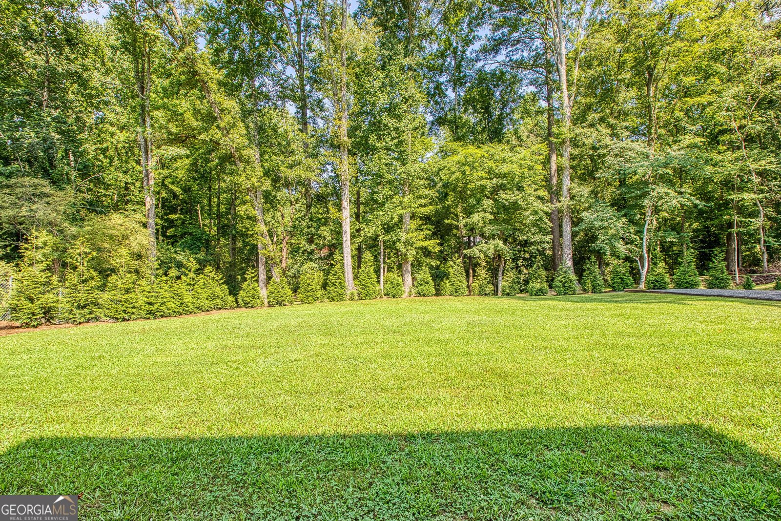 27 Lynhaven Drive Newnan - Photo 46
