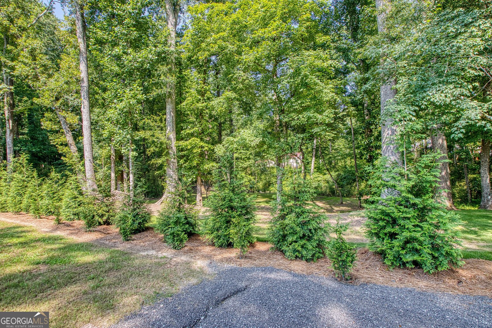 27 Lynhaven Drive Newnan - Photo 48