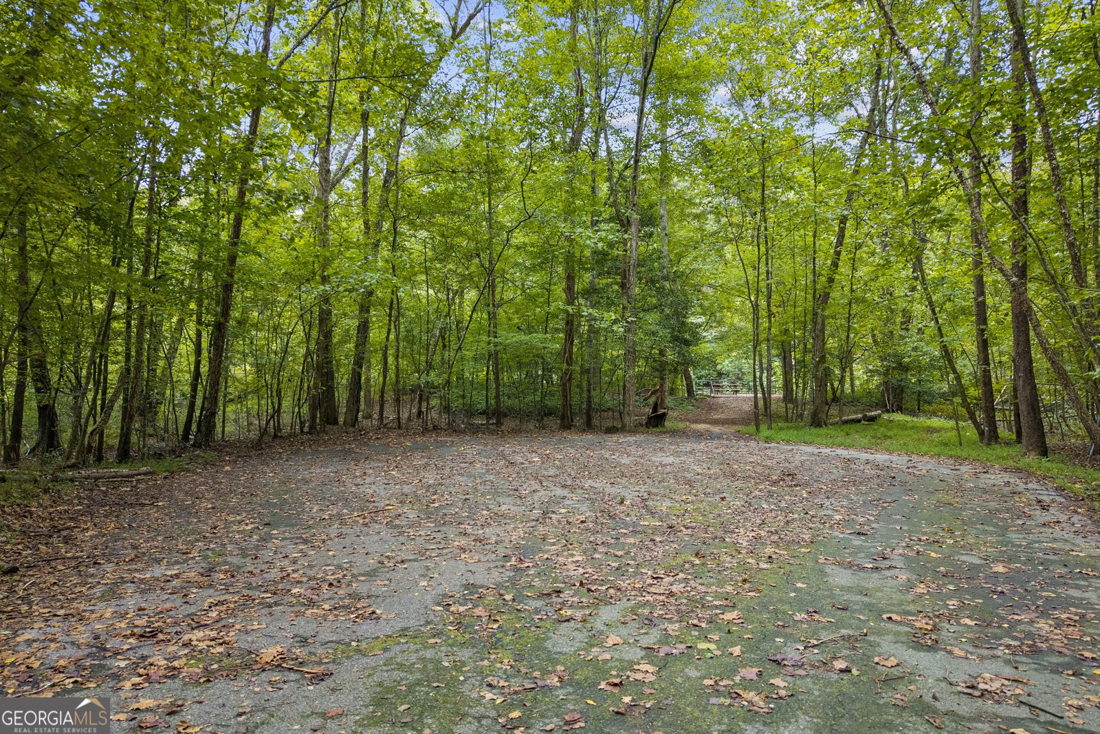 94 Autumn Hill Drive Sautee Nacoochee - Photo 74