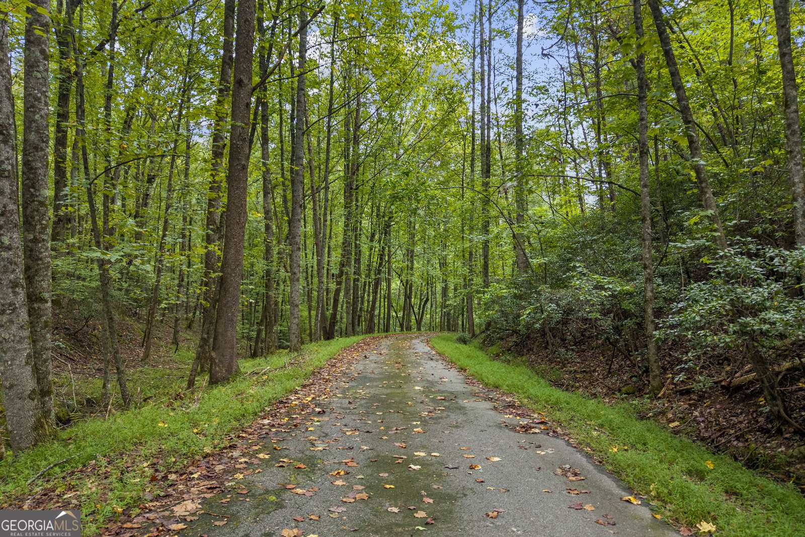 94 Autumn Hill Drive Sautee Nacoochee - Photo 76