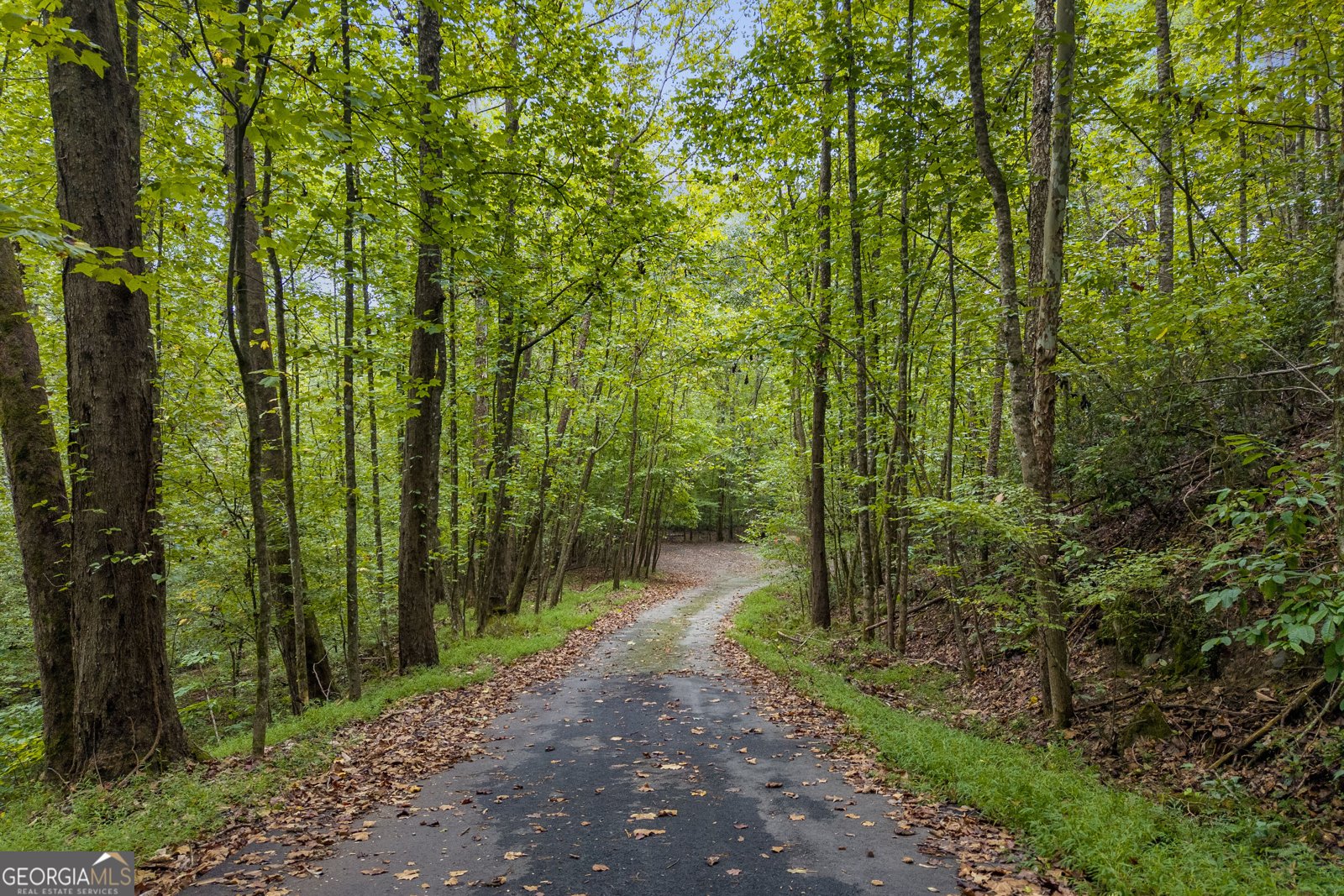 94 Autumn Hill Drive Sautee Nacoochee - Photo 81