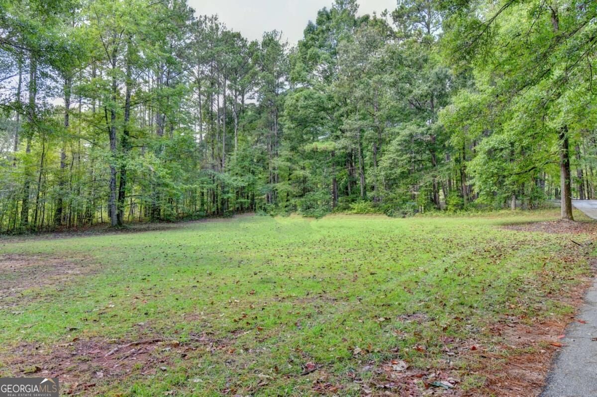 428 Bethany Road Mcdonough - Photo 36
