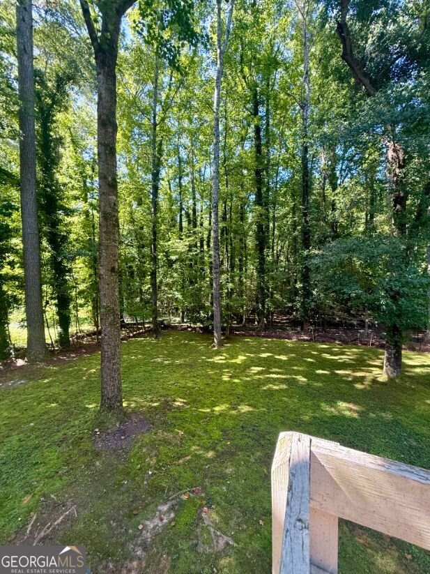 307 Longer Drive Peachtree City - Photo 39