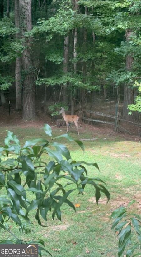 307 Longer Drive Peachtree City - Photo 42
