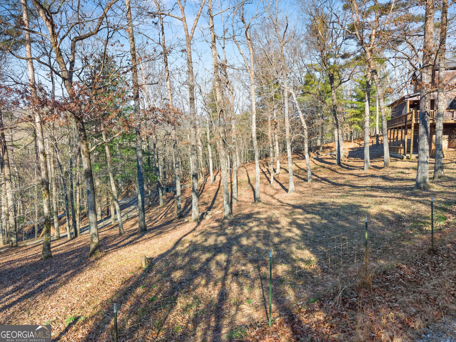 234 Old Indian Trail Blue Ridge - Photo 46