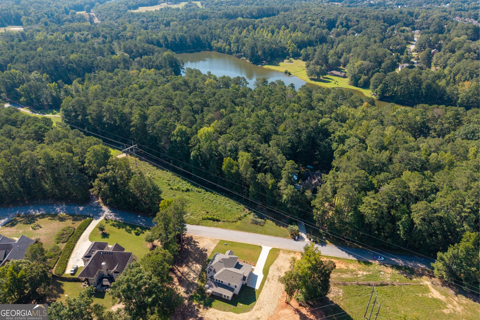3520 Millers Pond Way Snellville - Photo 49