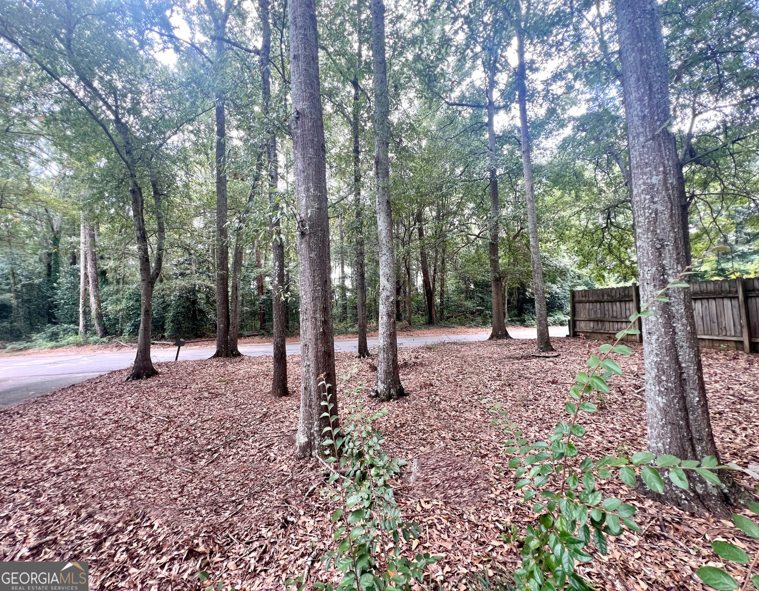 170 Northside Drive Athens - Photo 17