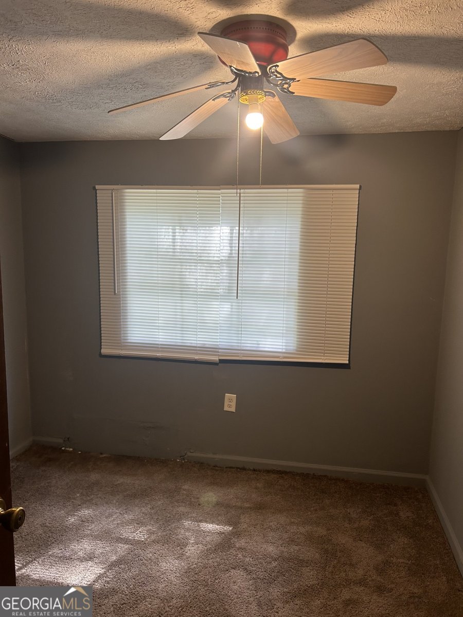 269 Lakeview Drive Locust Grove - Photo 11