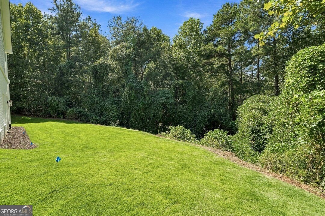 350 Lum Crowe Road Roswell - Photo 86