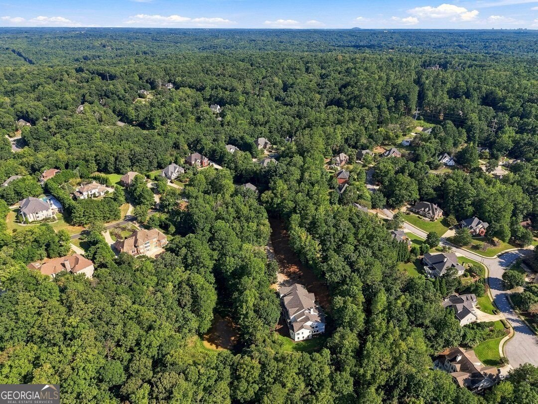 350 Lum Crowe Road Roswell - Photo 98