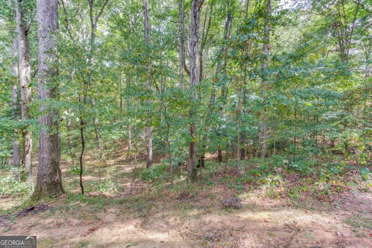 3244 Holly Stand Court Loganville - Photo 36