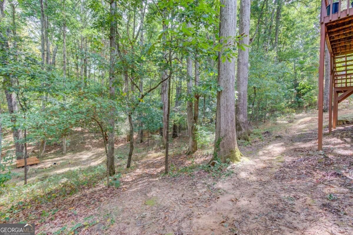 3244 Holly Stand Court Loganville - Photo 39