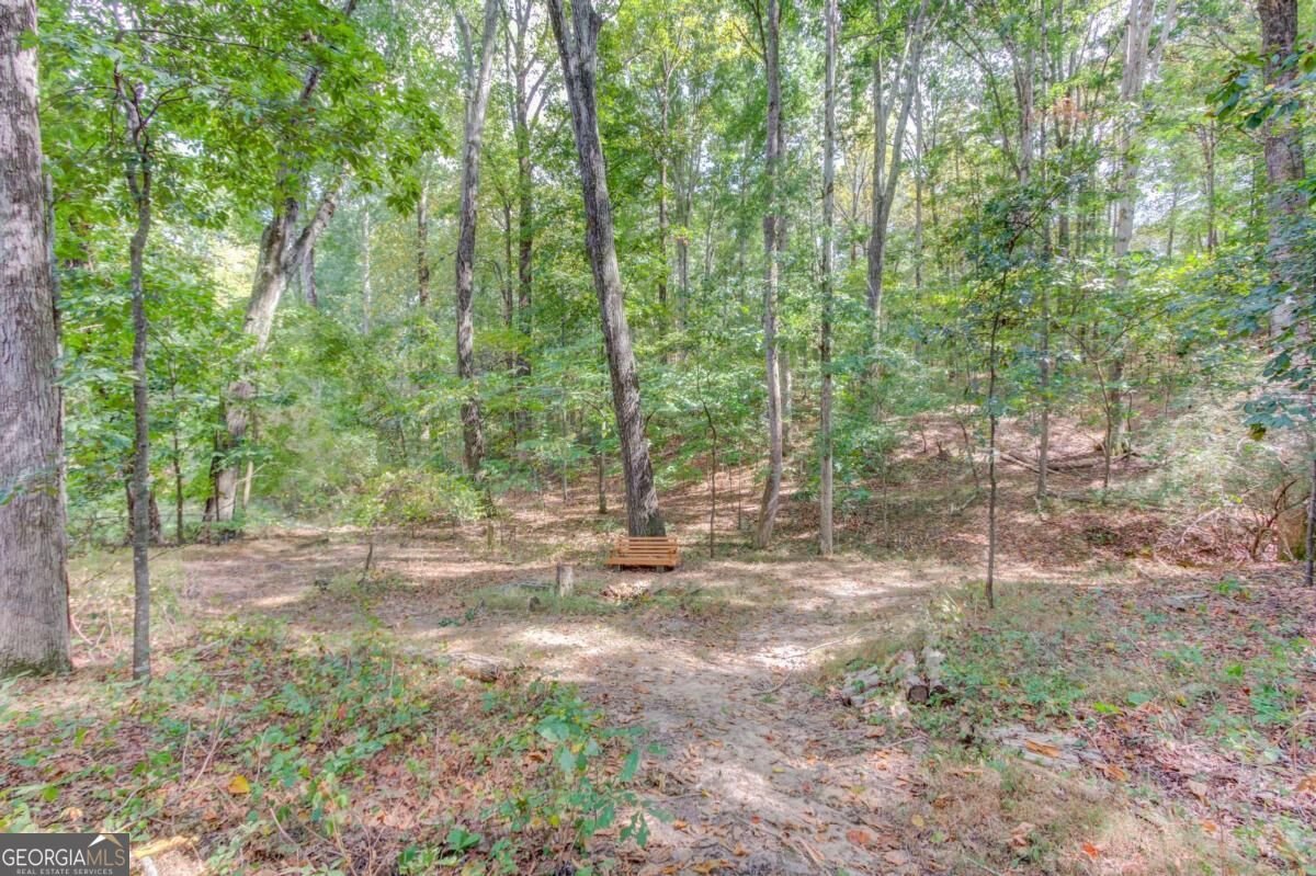 3244 Holly Stand Court Loganville - Photo 40