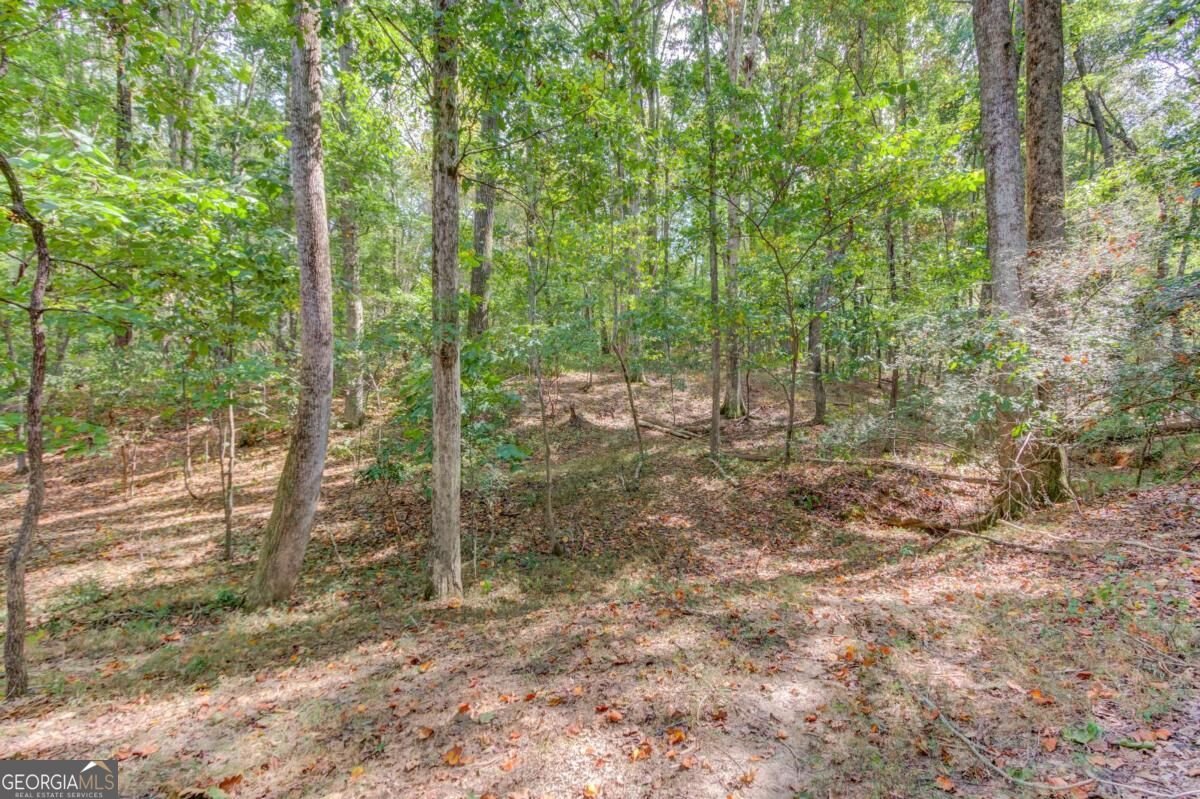 3244 Holly Stand Court Loganville - Photo 41