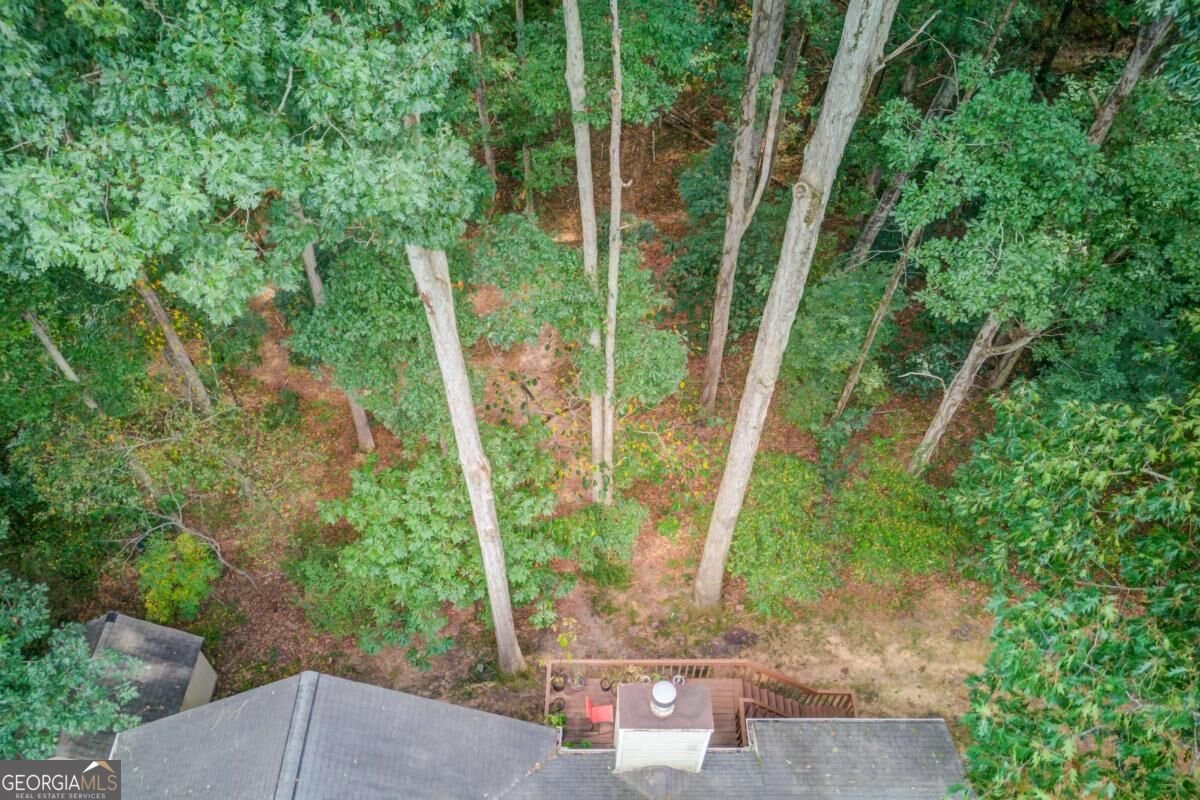 3244 Holly Stand Court Loganville - Photo 43