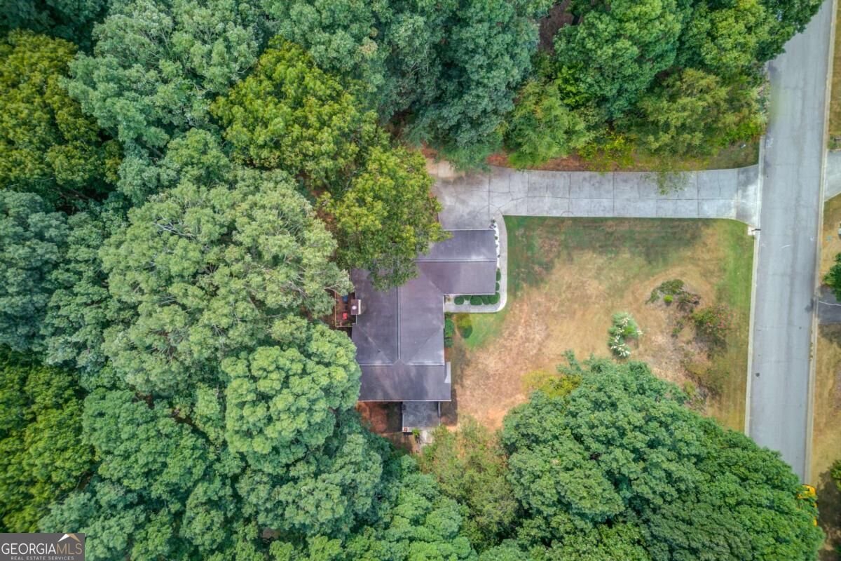 3244 Holly Stand Court Loganville - Photo 44