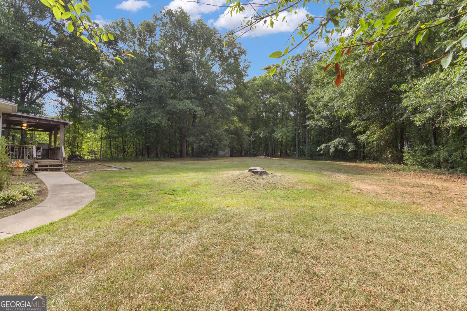 8 Melba Court Senoia - Photo 47