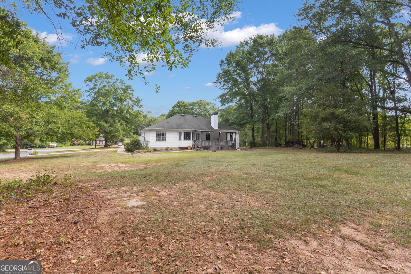 8 Melba Court Senoia - Photo 48