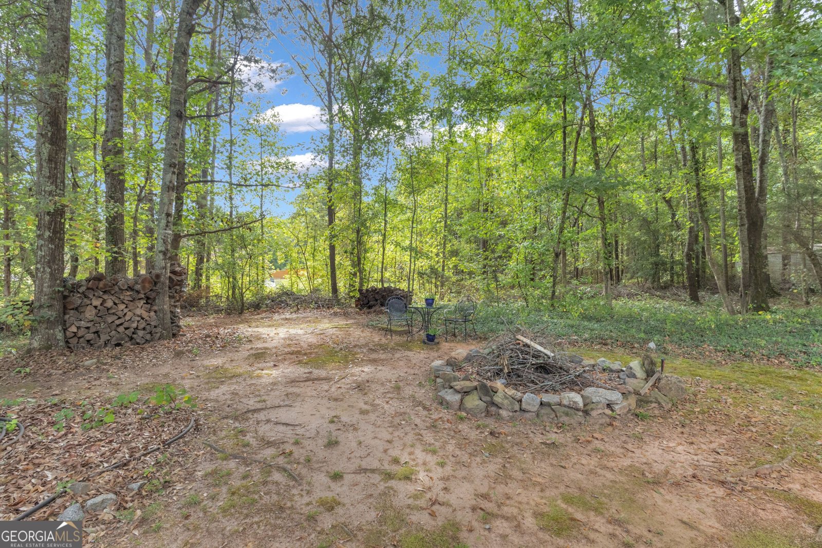 8 Melba Court Senoia - Photo 52