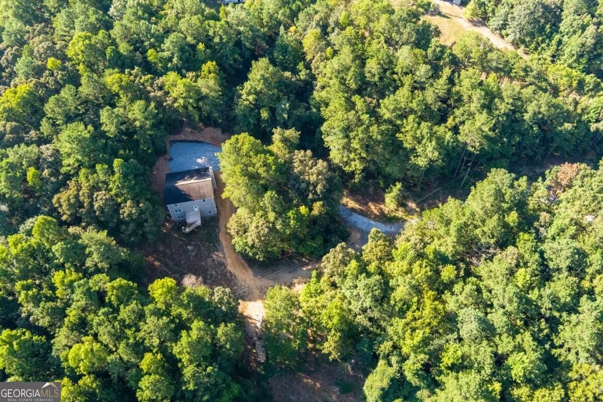 45 Satcher Road Taylorsville - Photo 58