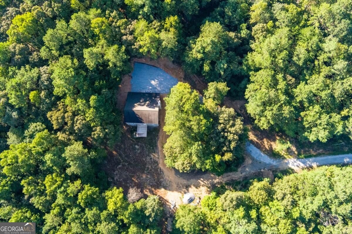 45 Satcher Road Taylorsville - Photo 6