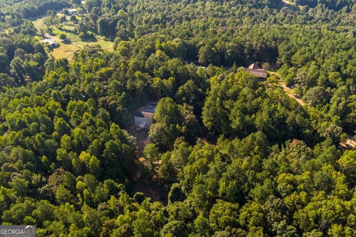 45 Satcher Road Taylorsville - Photo 60