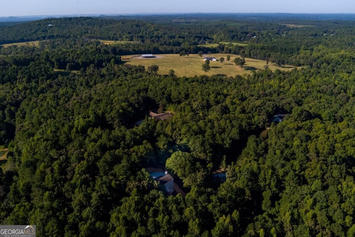 45 Satcher Road Taylorsville - Photo 62