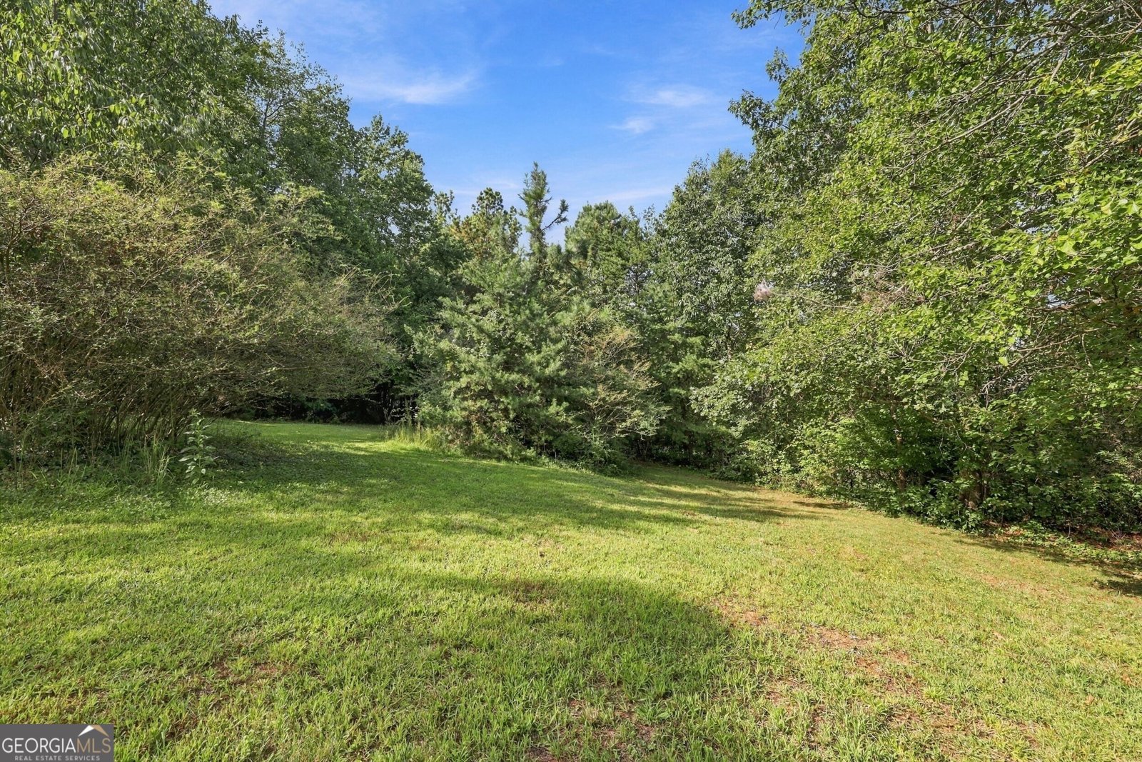 199 Sunrise Circle Cornelia - Photo 47