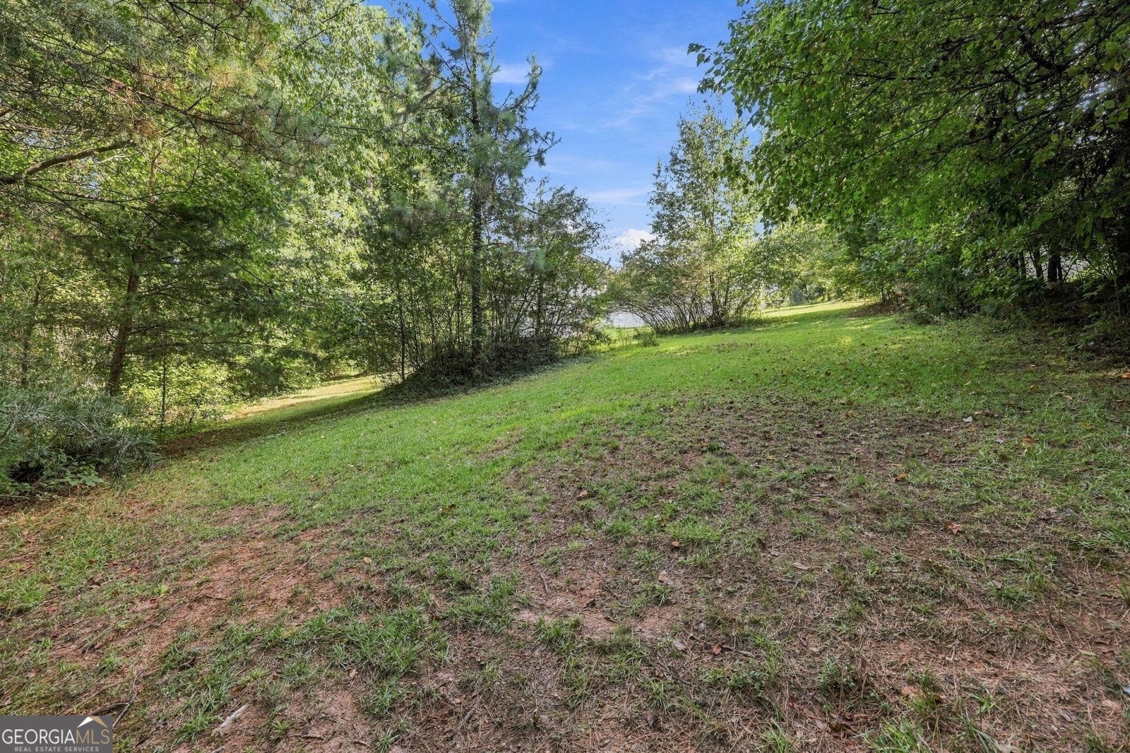 199 Sunrise Circle Cornelia - Photo 48