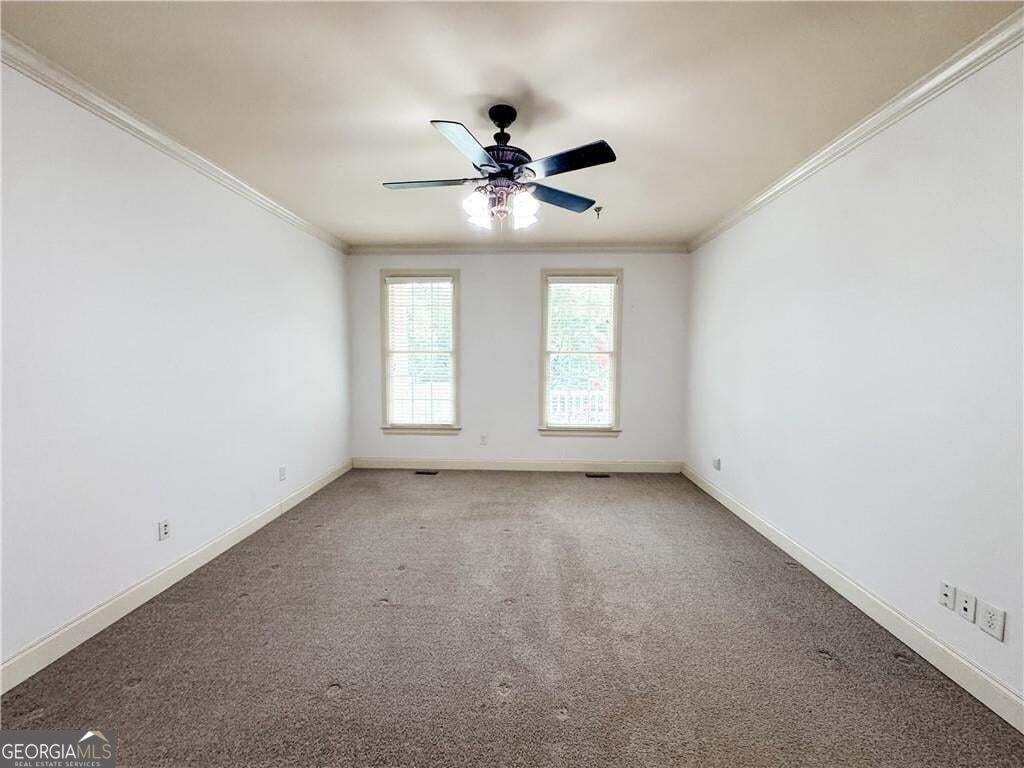 117 Tullamore Trail Tyrone - Photo 20