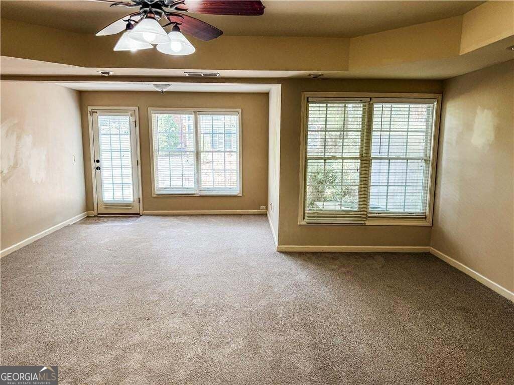 117 Tullamore Trail Tyrone - Photo 25