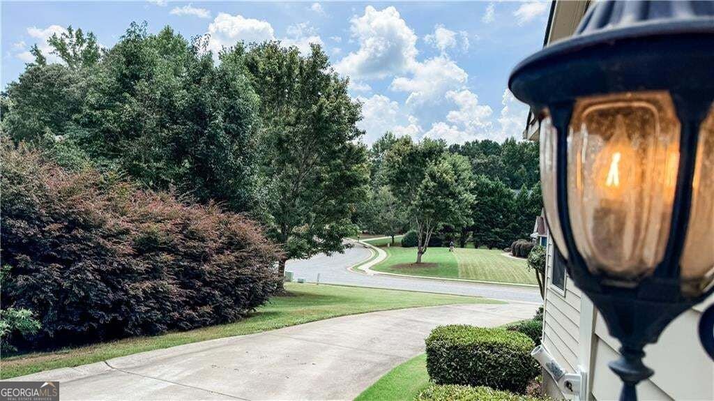 117 Tullamore Trail Tyrone - Photo 34