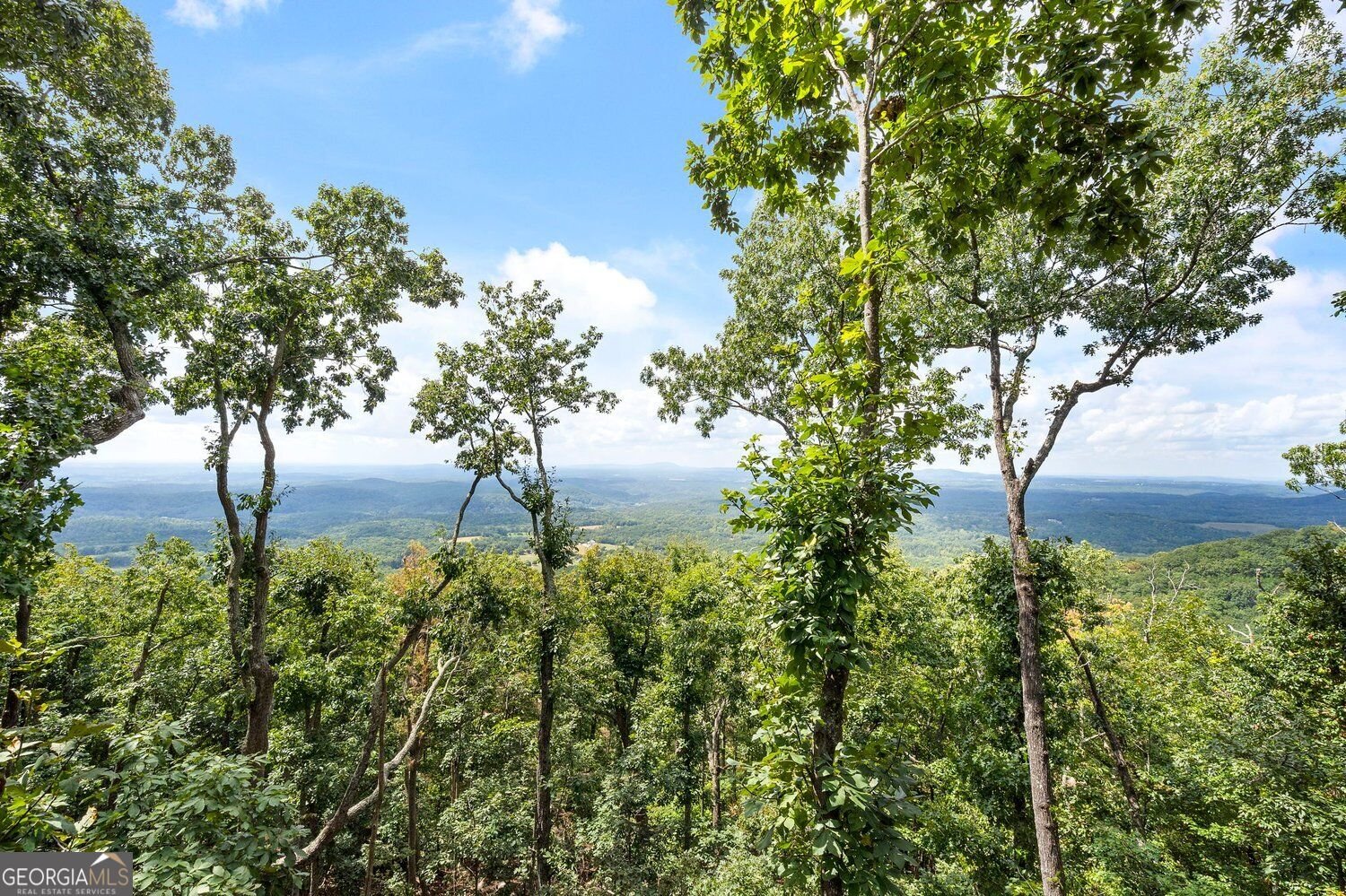 751 Ridgeview Drive Jasper - Photo 31