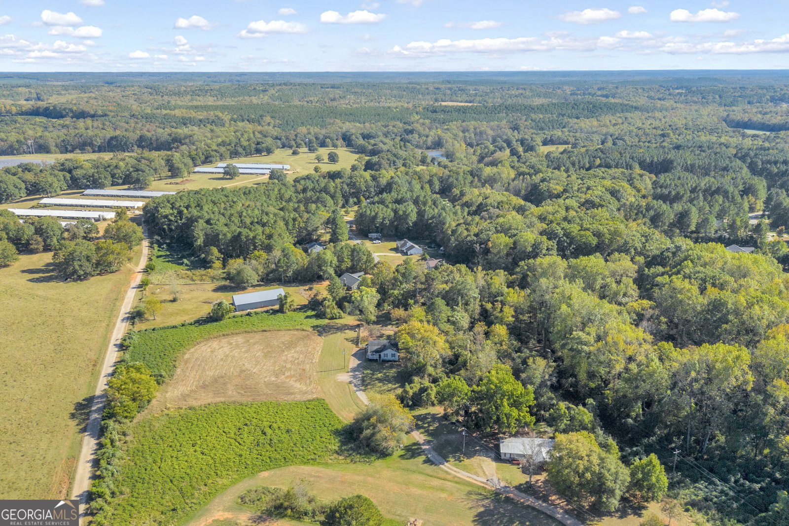 10411 Double Bridges Road Winterville - Photo 43