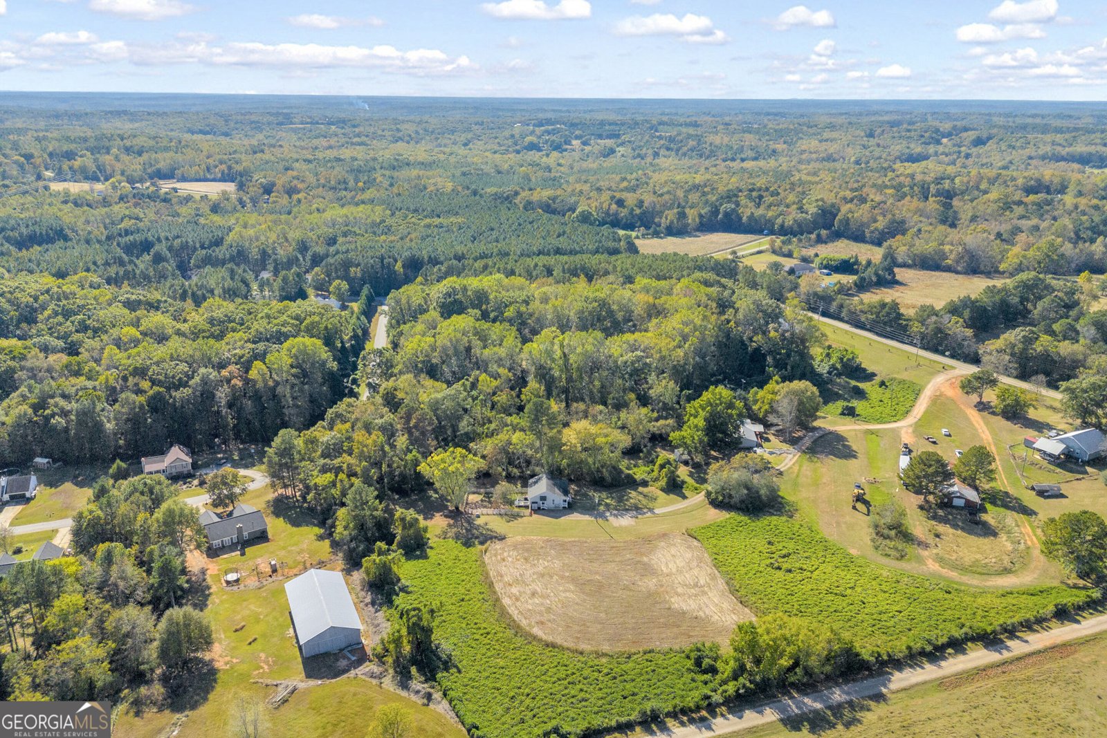 10411 Double Bridges Road Winterville - Photo 45