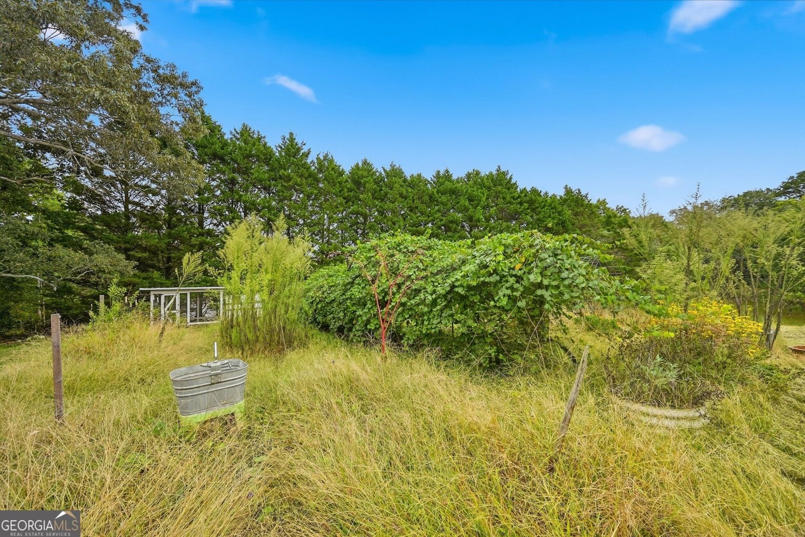 5545 Odum Smallwood Road Gainesville - Photo 29