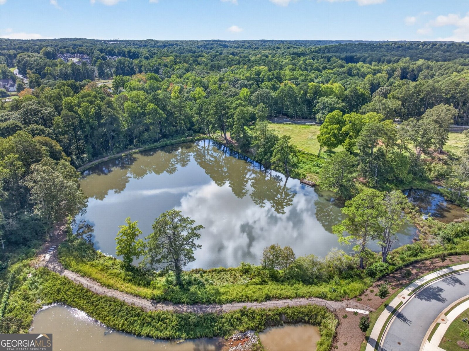 3122 Fishpond Circle Dacula - Photo 61
