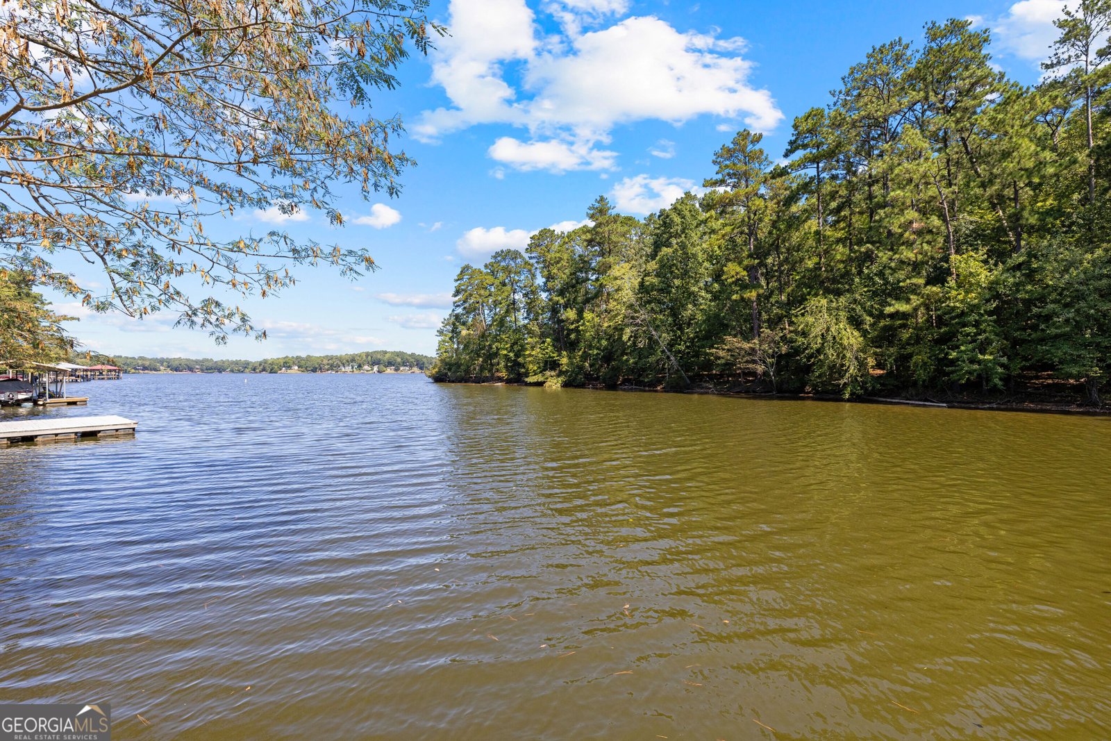 780 Eagle Drive Monticello - Photo 66