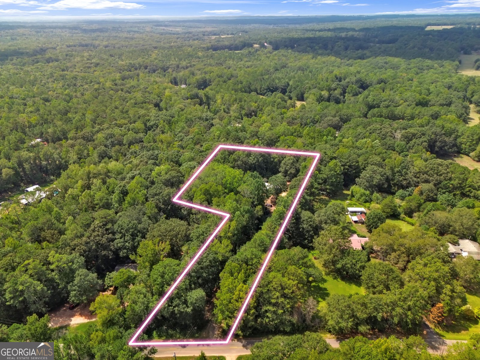 460 Etheridge Mill Road Milner - Photo 39