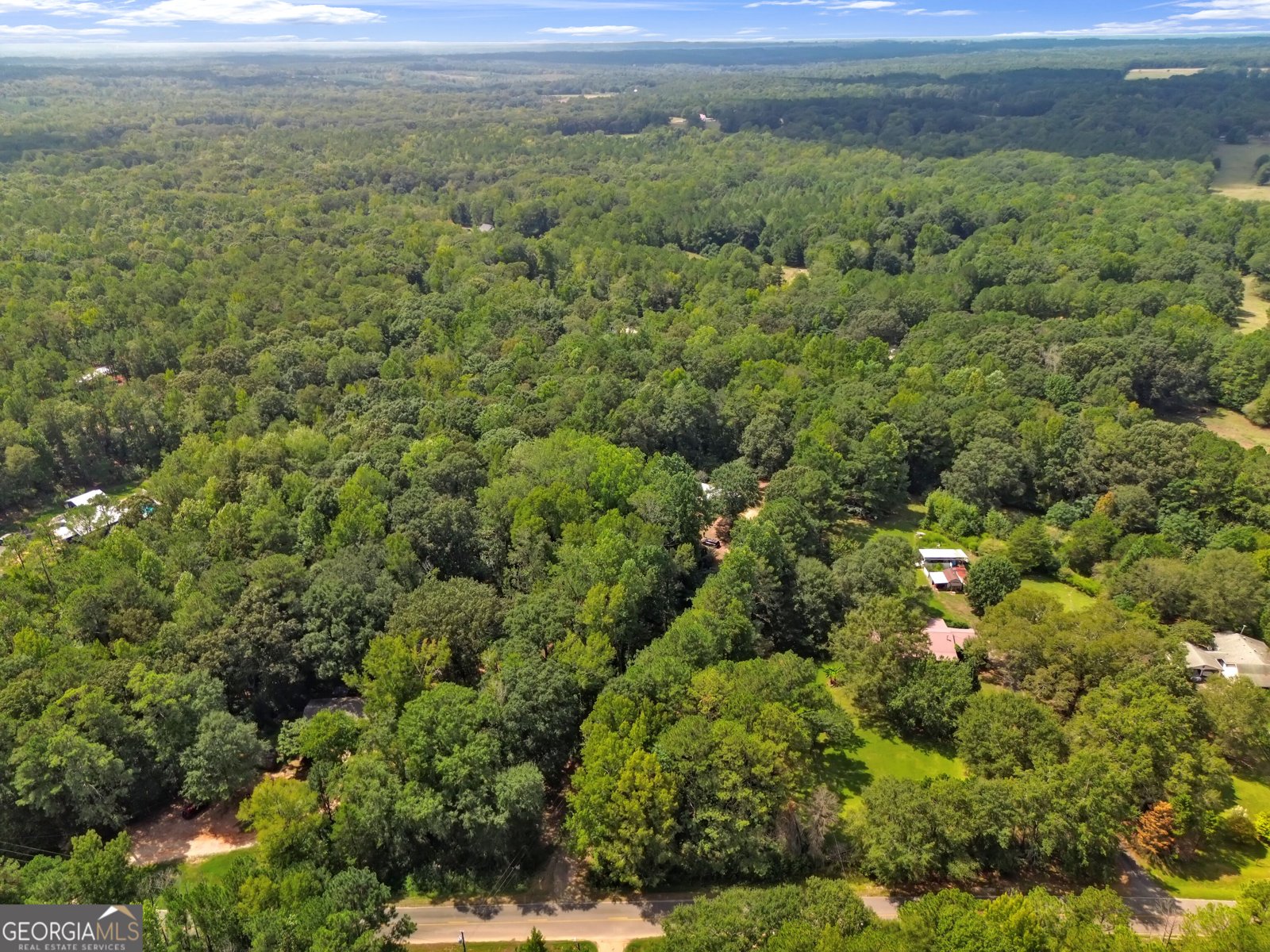 460 Etheridge Mill Road Milner - Photo 40