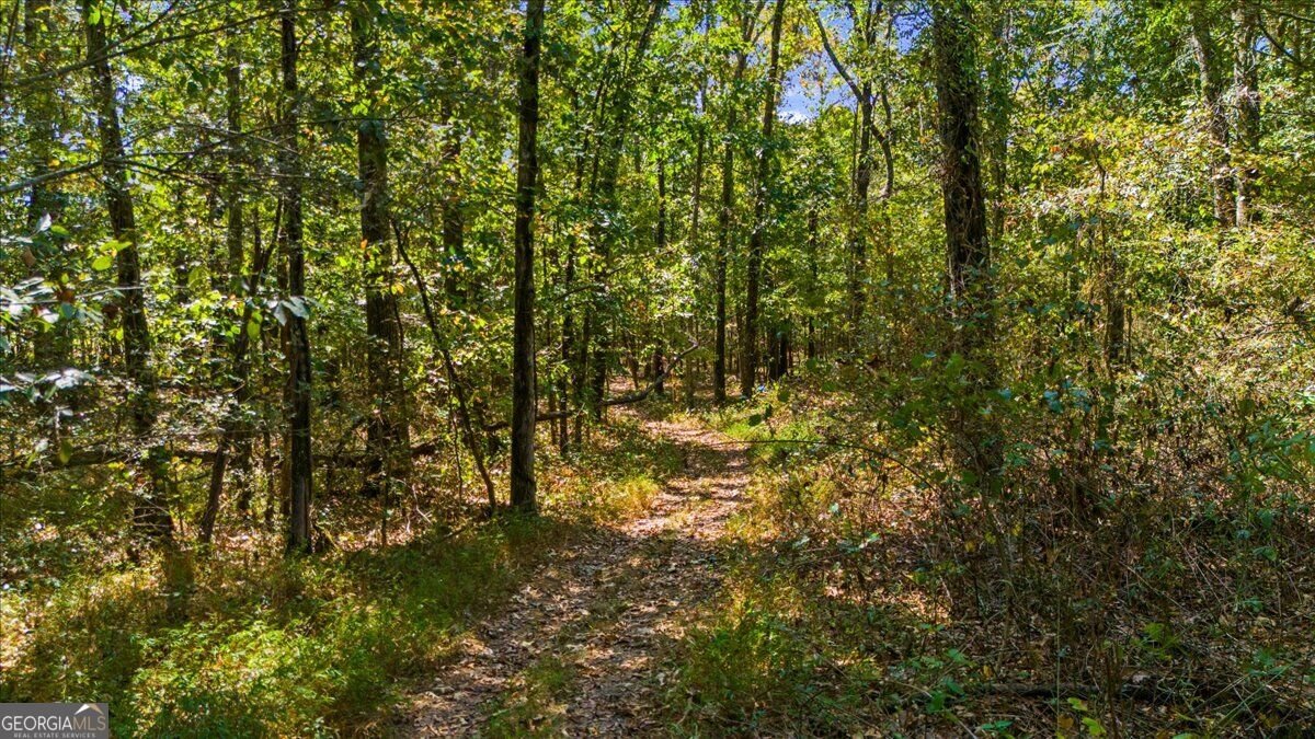 2572 Kingston Highway Rome - Photo 70