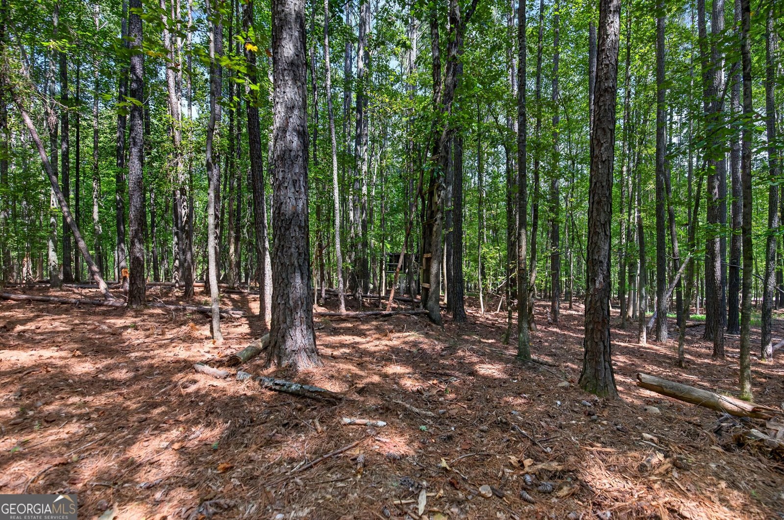 270 Gibson Road Newnan - Photo 40