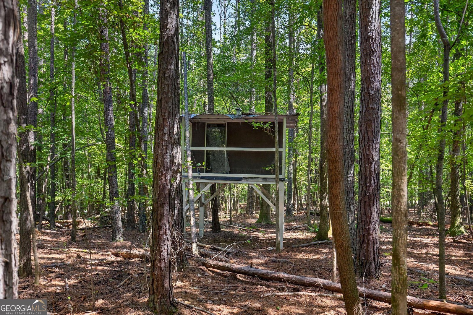 270 Gibson Road Newnan - Photo 41