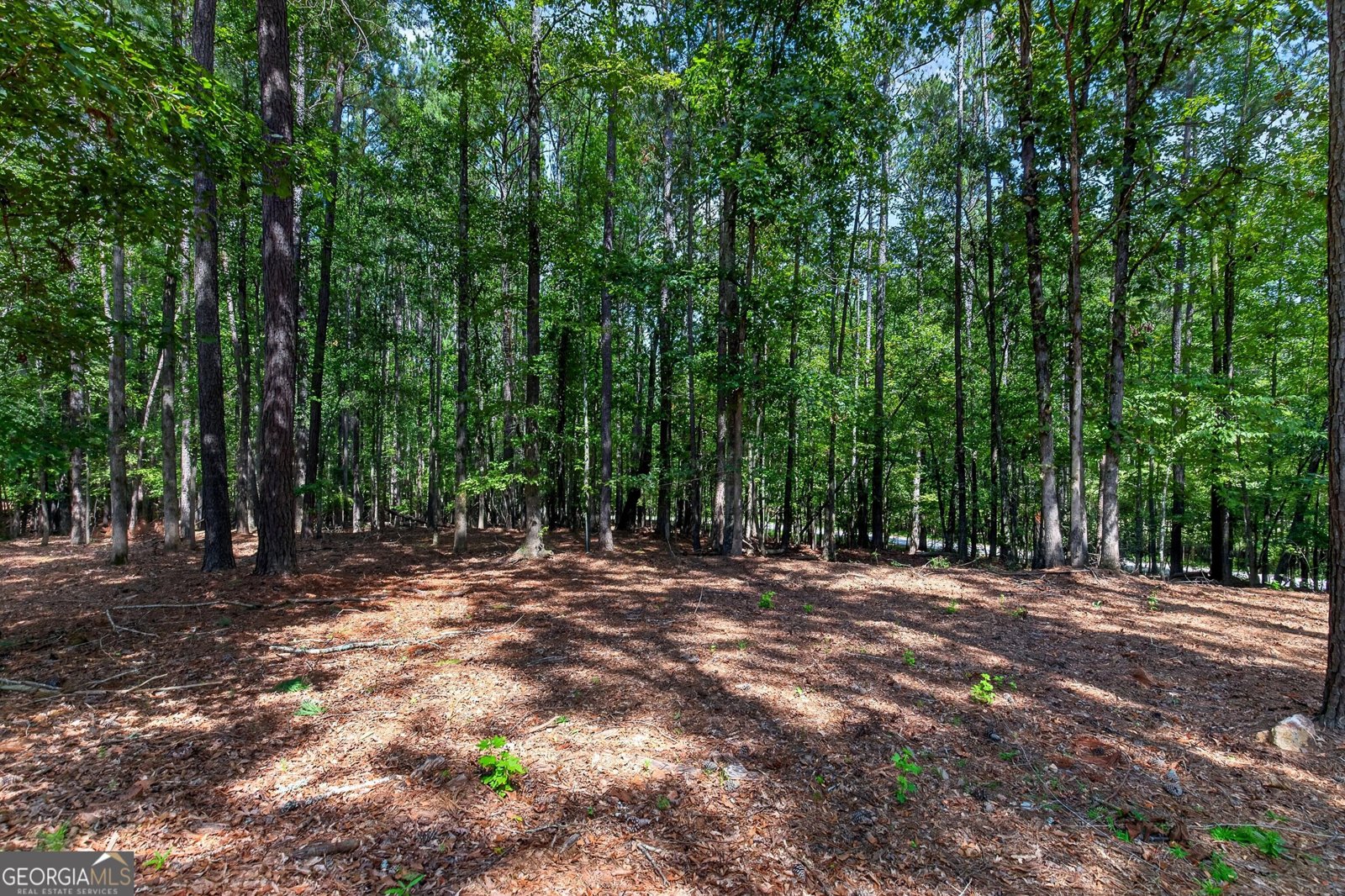 270 Gibson Road Newnan - Photo 42