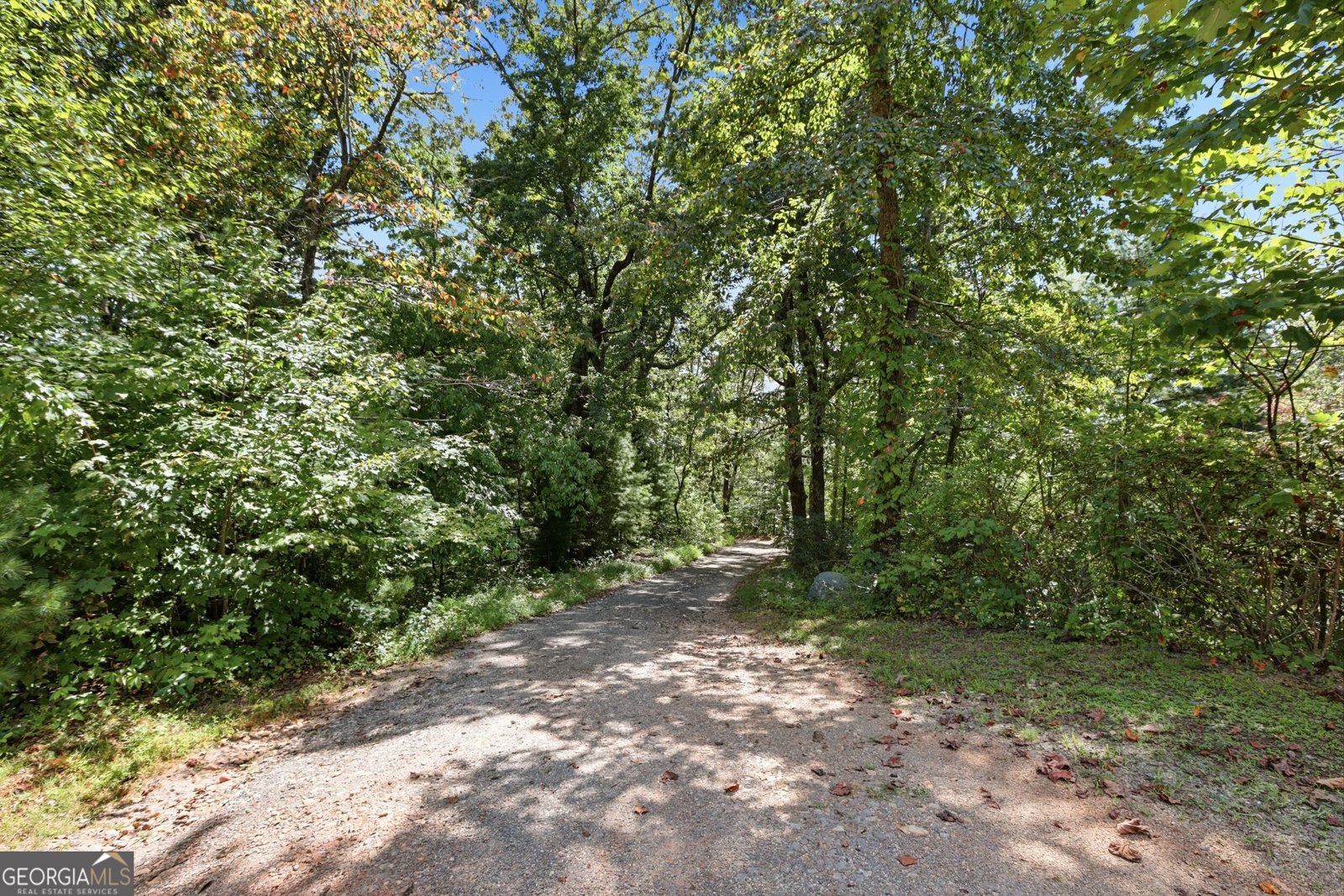 1068 Coleman River Road Clayton - Photo 48