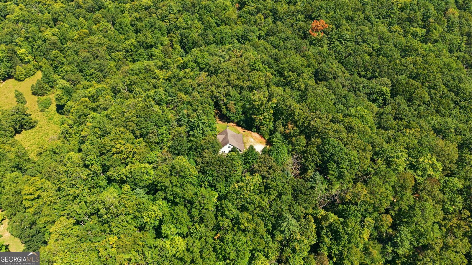 1068 Coleman River Road Clayton - Photo 52