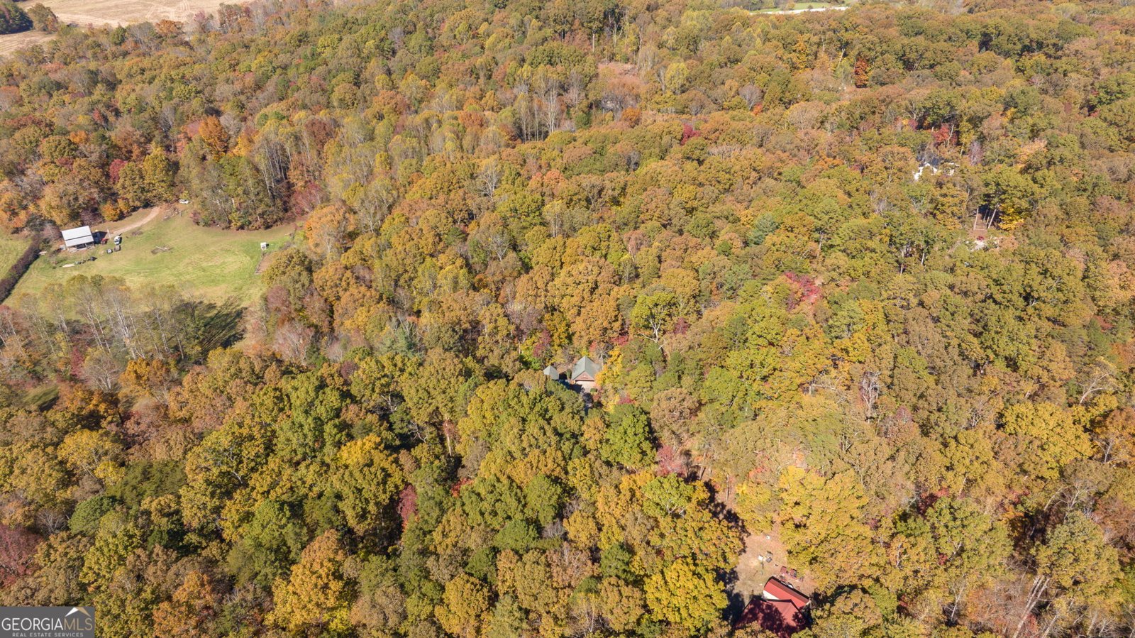 1010 Meadowview Ridge Clarkesville - Photo 52