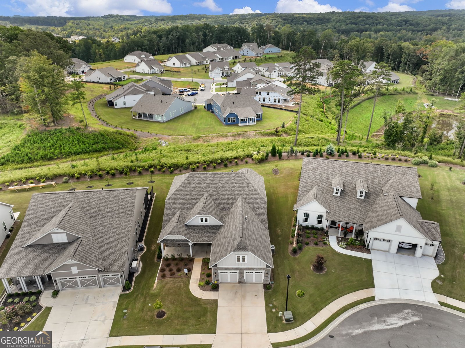 55 Ozark Way Hoschton - Photo 47